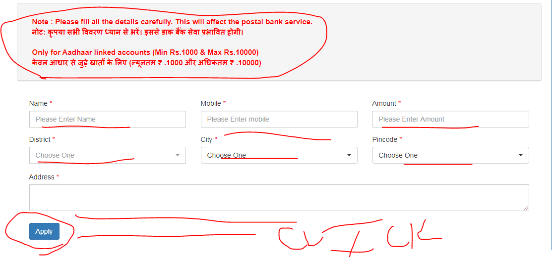 Haryana Cash Delivery Service form