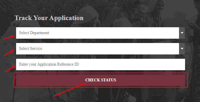 Track Your Application