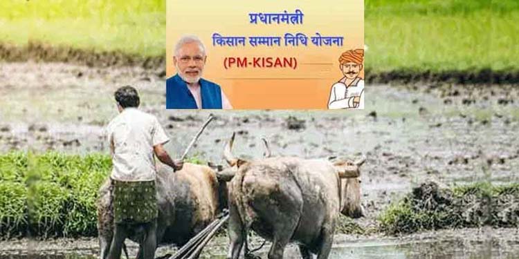 pm kisan yojana failed payment 46 lakh farmer