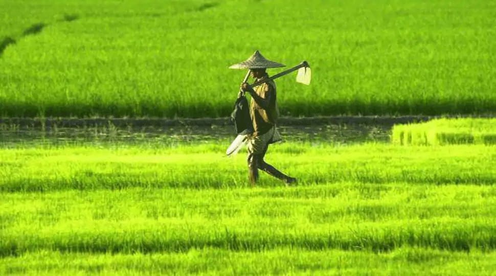 Haryana New Crop Scheme