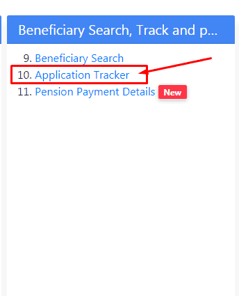 nsap application track