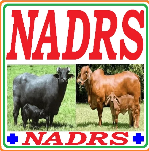 NADRS  Login | National Animal Disease Report System in Hindi 2023