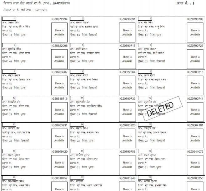 ceo punjab voter list with photo pdf download