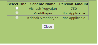 viklang pension yojana apply online