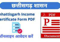 cg income certificate form pdf