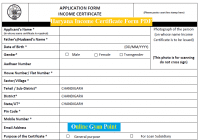 haryana income certificate Form pdf