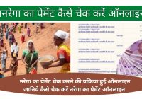 how to check nrega payment online