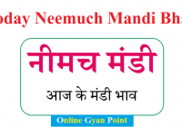 Today Neemuch Mandi Bhav