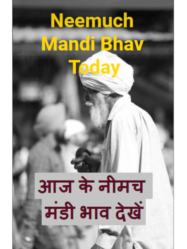 Neemuch Mandi Bhav Today | आज के नीमच मंडी भाव