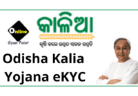 Odisha Kalia Yojana eKYC