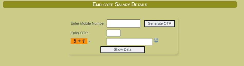 Employee salary Details