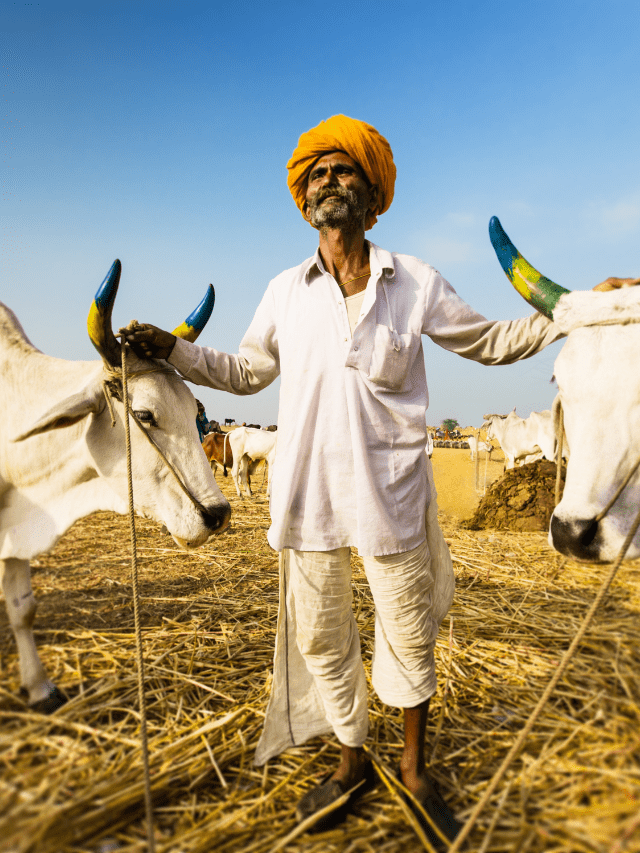 पीम किसान की 13वीं क़िस्त का लेना चाहते हैं लाभ तो यह कम जरुर करें